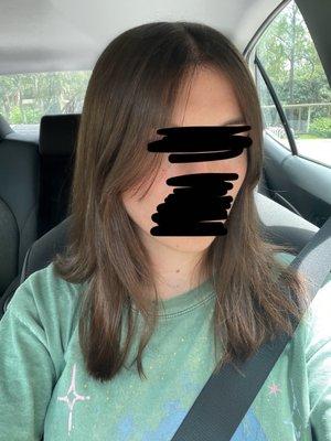 Women's Haircut