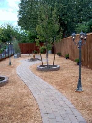 Our new Bark Park Play area for our day and overnight boarders