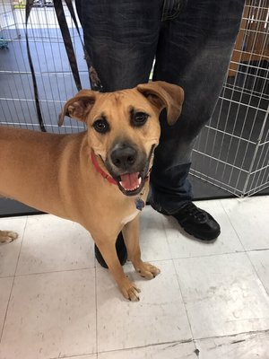 Ruger is all smiles at Trendi Pawz