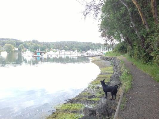 A waterfront Trail....