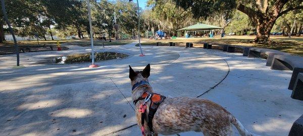 Losco Regional Park