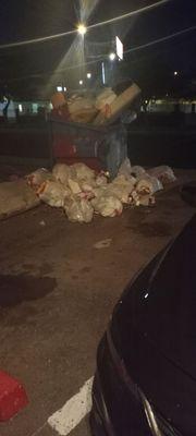 Bags of garbage that tenants just throw because the dumpster is over flowing 8/9/2021