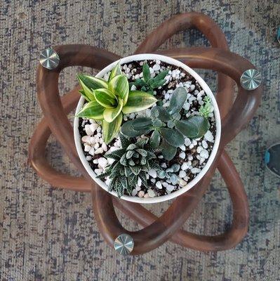 Custom succulent bowl