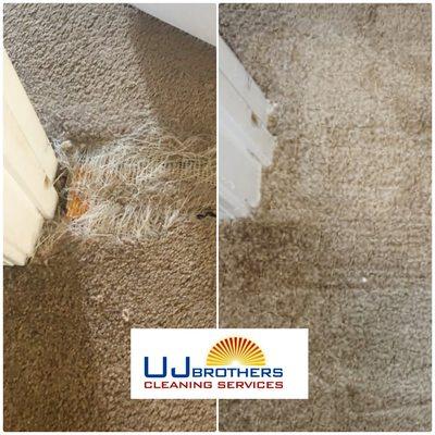 Carpet repair job in Arlington WA