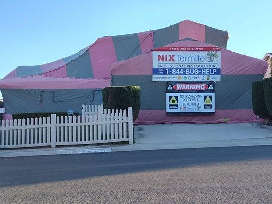 A professionally wrapped tent fumigation. 
 Ask about our industry leading theft deterrent system.