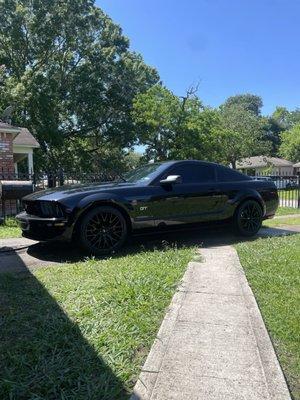 2006 mustang gf 5 percent