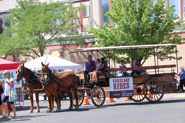 Horse drawn carriage rides, weddings,  event planning, hands-on experiences.