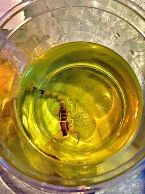 Scorpion pickle shot