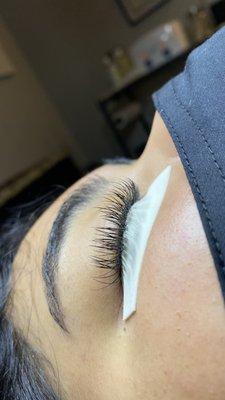 Classic Lashes