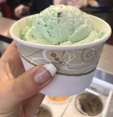 Mint Chocolate Chip Ice Cream, we thought it was good.