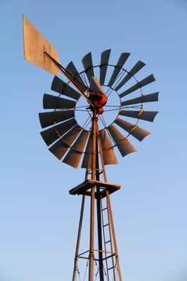 BellaVida Bed and Breakfast : Country lodging on 8 plus acres in the Texas Hill Country including a windmill.