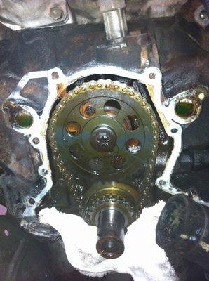 Ford timing chain replacement