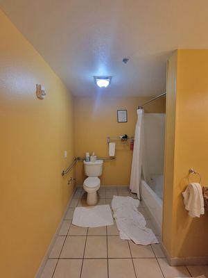 Large bathroom