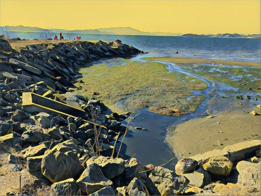 Albany Waterfront Trail