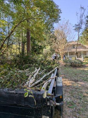 We offer tree trimming and removal services.