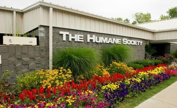 The Humane Society of Genesee County animal shelter.