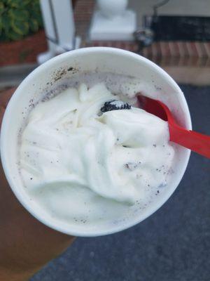 This was supposed to be an Oreo Blizzard. If my kids didn't ask for it, I would never come here.