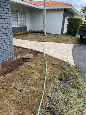 WS Sod & Landscaping