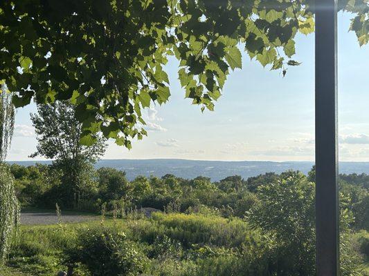 View from the patio.