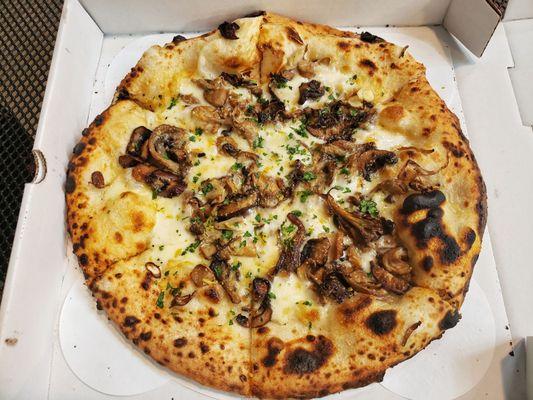 Mushroom pizza