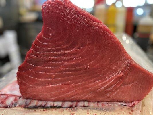 Blue fin tuna