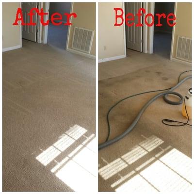 Buddy's Carpet Cleaning