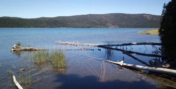 A hidden but easily accessible cove on Paulina Lake.