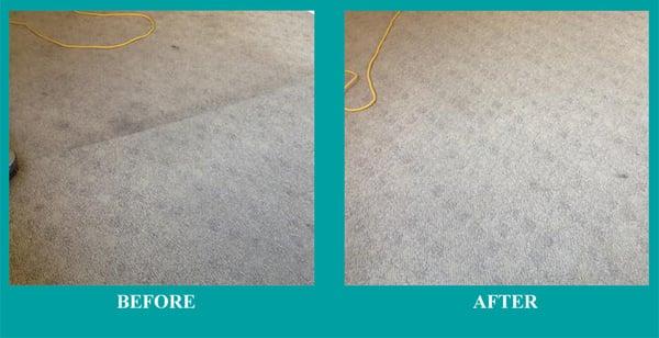 The Carpet Solutions - Park City Utah Carpet Cleaning Professionals - Before and After