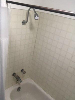 Shower tub combo.