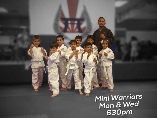 Mini warriors program