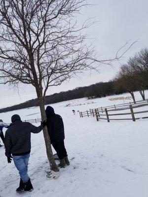 2021 Winter Snow Storm. People sledding down the hill!