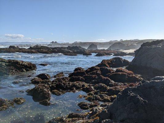 Noyo Headlands Park, Fort Bragg