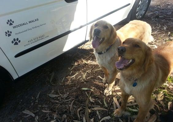 My happy pups!!