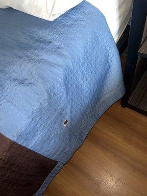 Large holes in the bed covers