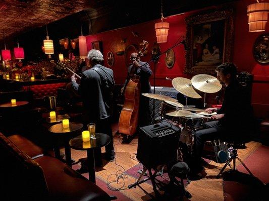 Live Jazz Musicians