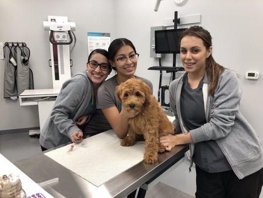 Healthy Paws' great team comforting our scared Ollie.