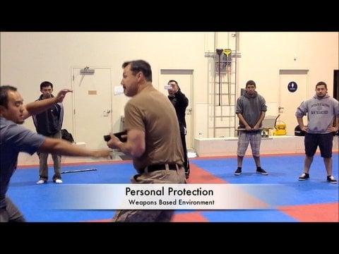 self protection training in weapons and empty hand.