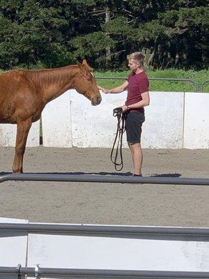 My husband Marcus during his coaching session with Nina and Sparrow.