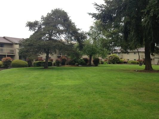 Just one of many large grassed areas right out the back doors! Overlook the courtyard from kitchens and bedrooms.