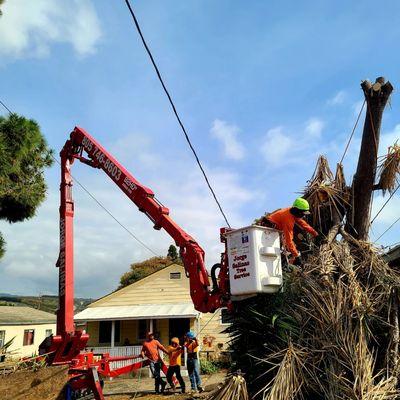 We received an emergency call from Oregon a tree breaks on top of the utility lines on client's rental property in ventura