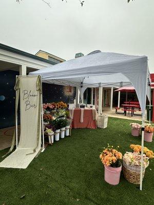 Flower Bar rental