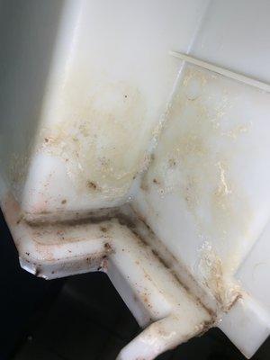 Does your ice machine look like this?  We can clean the right way to ensure the health and safety of those eating and drinking your ice.