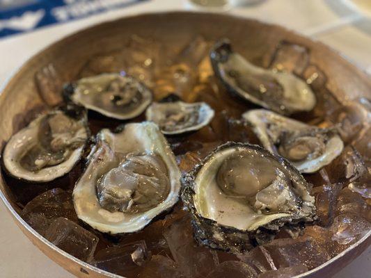 Raw oysters