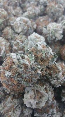 Conspiracy kush