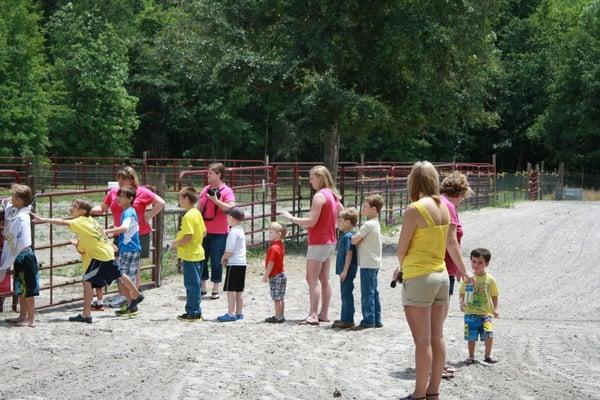 Children Waiting for Their Ride On The Horse At Birthday Party