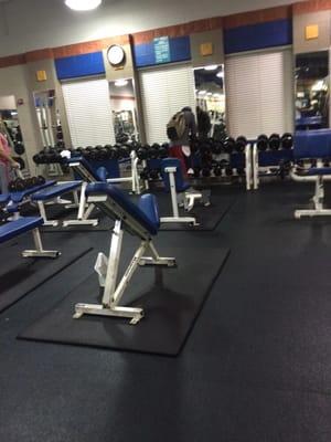 Free weights