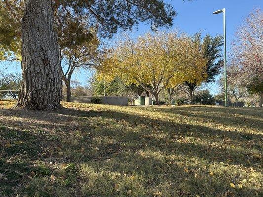 This was a beautiful park filled with so many trees! Taken 12/15/24