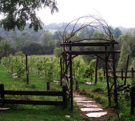 Neshobe River Winery Vineyard