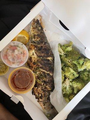 Sea bass with steamed broccoli