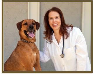 Veterinarians in San Jose serving San Jose, Los Gatos, Campbell, Blossom Hill and Almaden Valley since 1969.